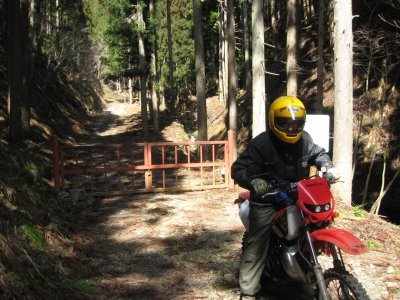 抜けてきました