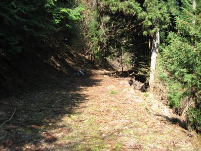 どうやら峠のようです②