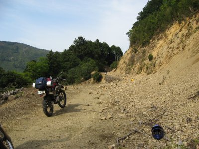 021.名前忘れた林道①