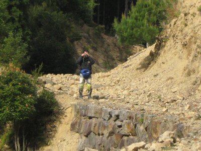 022.名前忘れた林道②