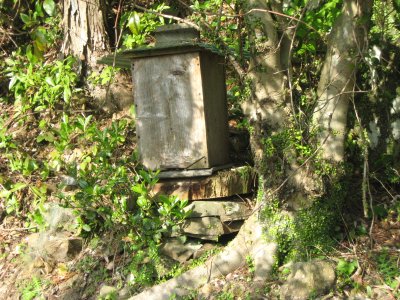 023.道中の蜜蜂小屋