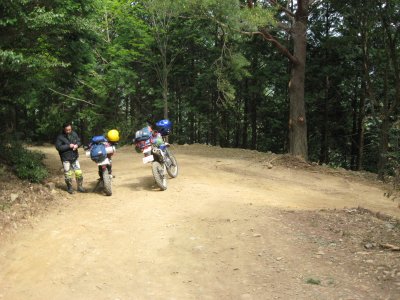 028.西谷林道の道中①