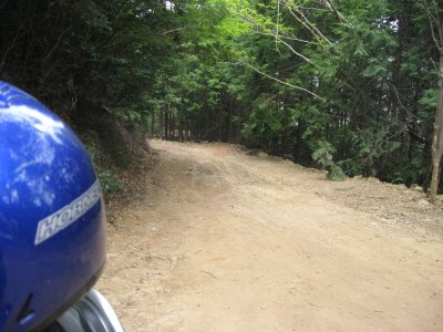 029.西谷林道の道中②