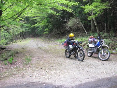 030.西谷林道とお別れ①