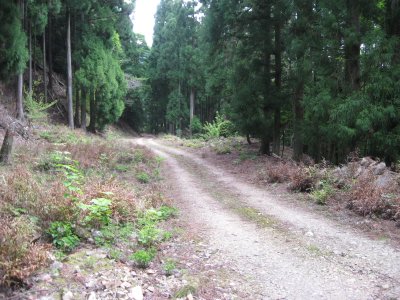 031.西谷林道とお別れ②