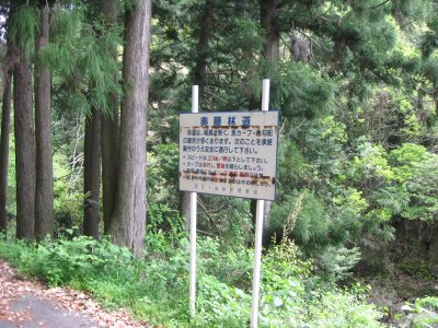 033.奥藤林道入り口①
