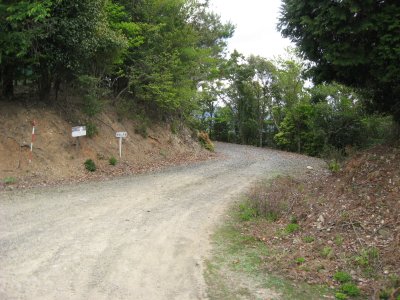 043.藤の川林道～掃除谷林道②