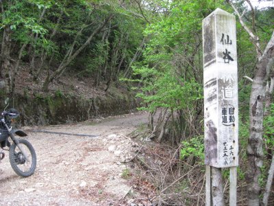 064.張川林道道中②