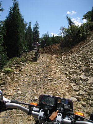 011.千町林道支線？①