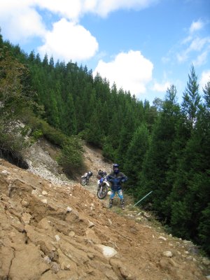 012.千町林道支線？②