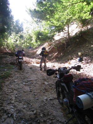 018.カンカケ三室林道？①