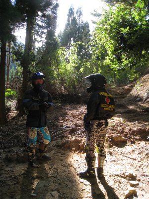 019.カンカケ三室林道？②