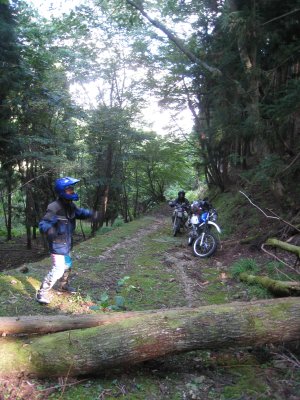 020.カンカケ支線？