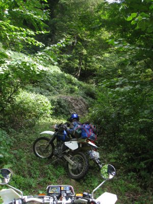 003.目指せ扇の山林道？