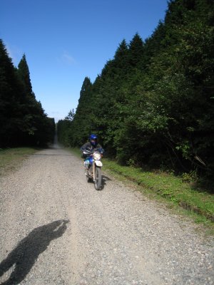 022.直線ダート②