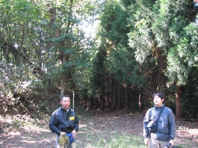 009.神鍋高原へ向かう林道②