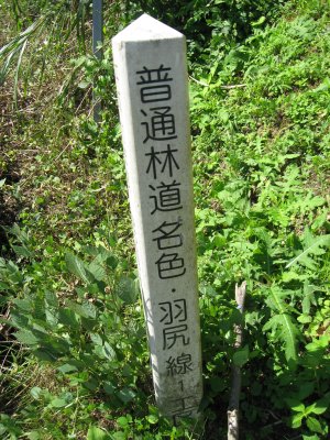 012.神鍋へ降りてきました③