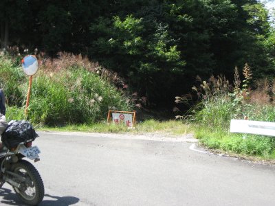 016.氷ノ山の林道からそれて