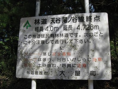 018.梅ヶ久保林道（だったかな）②