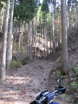 004.間違って入った林道の終点