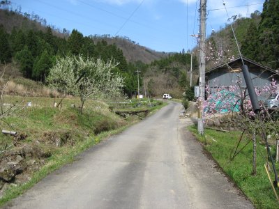 008.田ノ向林道へ向かう①
