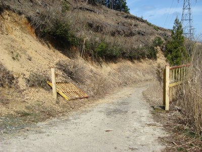 010.田ノ向林道の入口