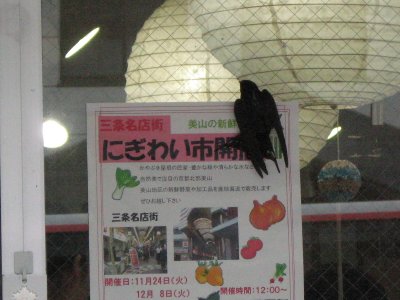 026.道の駅美山③