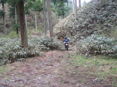 005.超短いピストン林道