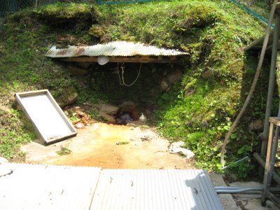 013.温泉（間欠泉）のようです②