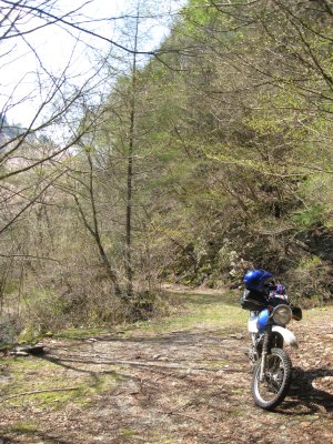 018.旧道には結構な林道があった