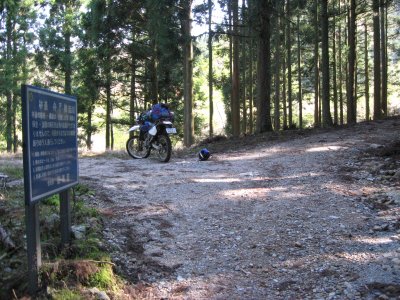 022.本日最長の林道の途中で②