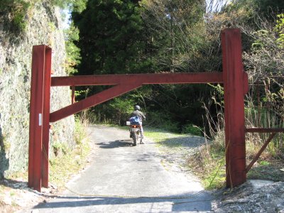 005.林道　大宝山線②