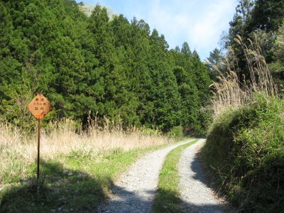 007.林道　大西谷線①