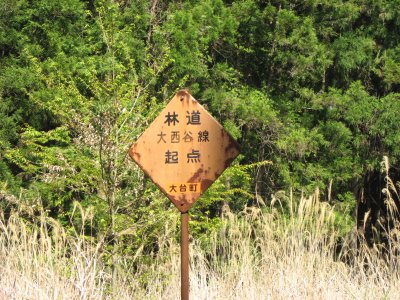 008.林道　大西谷線②