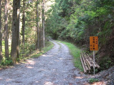 009.林道　梅ノ木線