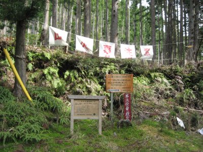 003.大又佐渡林道①