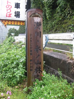006.瀞川氷ノ山林道③