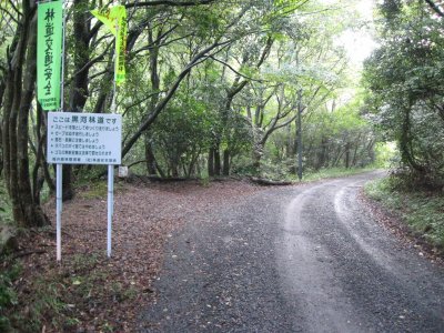 黒川マキノ林道