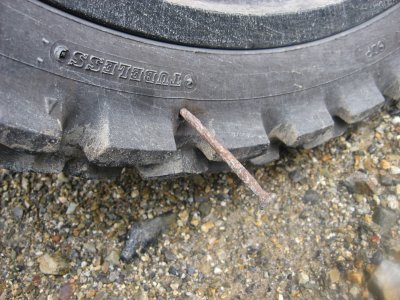 コータ君のパンク①