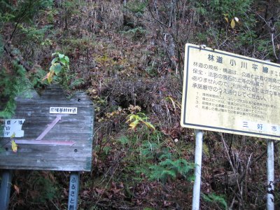 011.林道　小川平線