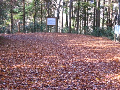 017.奥白髪林道でのショット①