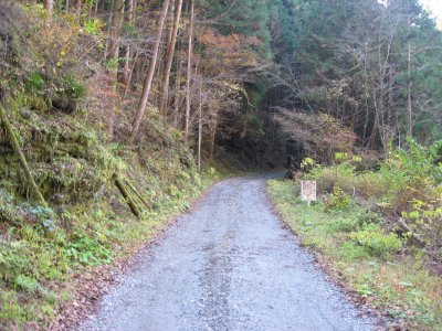 025.奥南川林道へ②