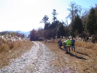 013.林道仁尾ケ内林道にて