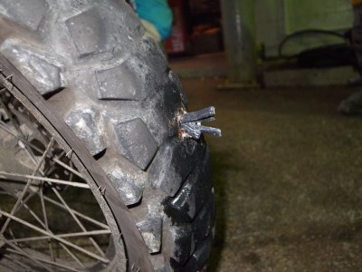 033.コータ君のパンク④