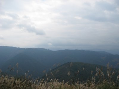 006.奥栗一谷林道→猿押林道①