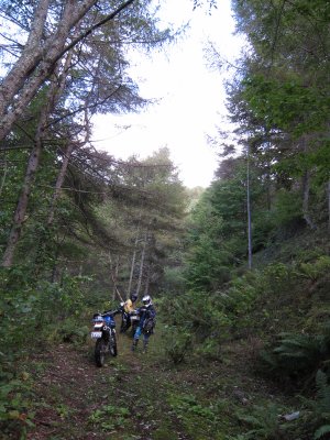 016.萩の尾線の支線らしい