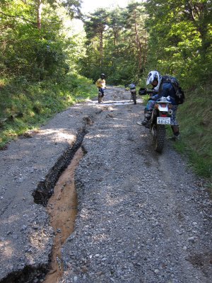 019.前山大明神林道_4