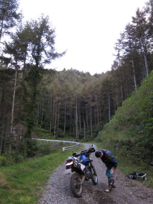 028.槙尾山林道_4