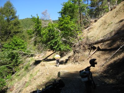 006.黒河内林道_3