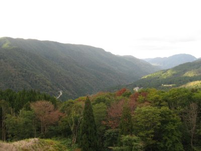 029.名無しの林道にて